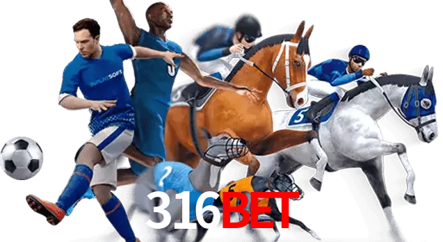 316bet