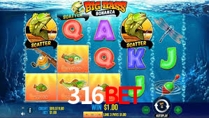 316bet